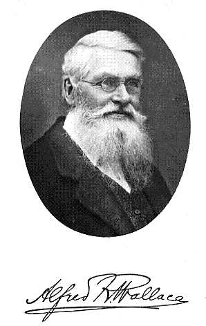 Alfred_Russel_Wallace