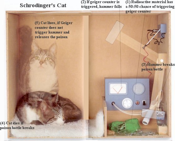 Schrodinger_Cat