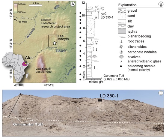 LD 350-1化石的出土地理位置和地層以及景觀（Villmoare B, et al. Science. DOI: 10.1126/science.aaa1343 (2015)）