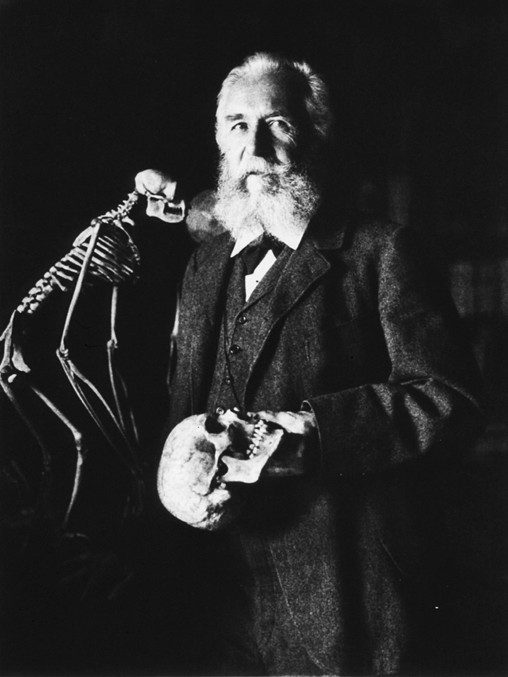 圖一：恩斯特･黑克爾(Ernst Heinrich Philipp August Haeckel, 1834－1919)，德國生物學家、自然學家。畢生致力於提倡演化論。然而其謬誤百出的學說反而讓達爾文的演化論蒙上一曾陰影。相片為德國攝影家佩謝德(Nicola Perscheid)的作品。圖片取自維基百科 (Public domain)。