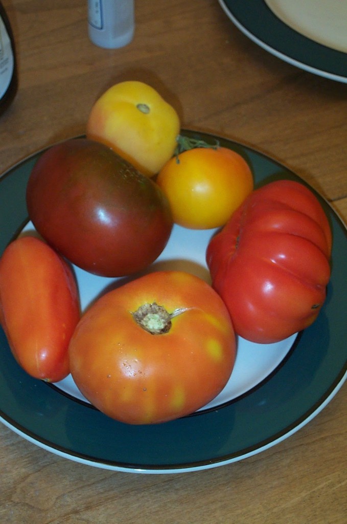 蕃茄的大小是因為子房室的數目造成的。 究竟是什麼原因造成子房室的數目變化呢？ 圖片來源：wiki