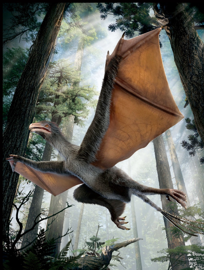 bat-winged-dinosaur-illustration
