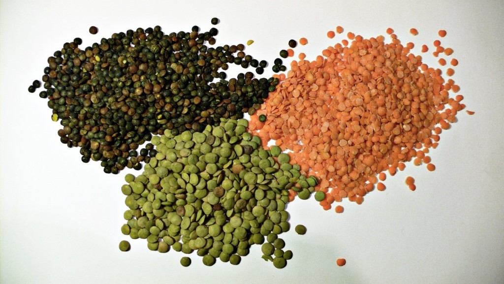三種顏色的小扁豆（Photo credit: Justinc, CC BY-SA 2.0）