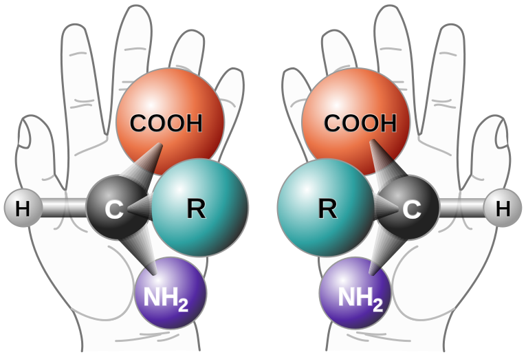 圖一: 化學中的鏡像異構物, credit: wikipedia, chirality (chemistry)