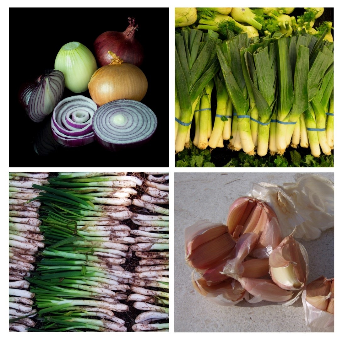 幾種常見的蔥屬植物食材：洋蔥(左上)、韭蔥(右上)、青蔥(左下)、蒜(右下)。圖片來源：維基百科。