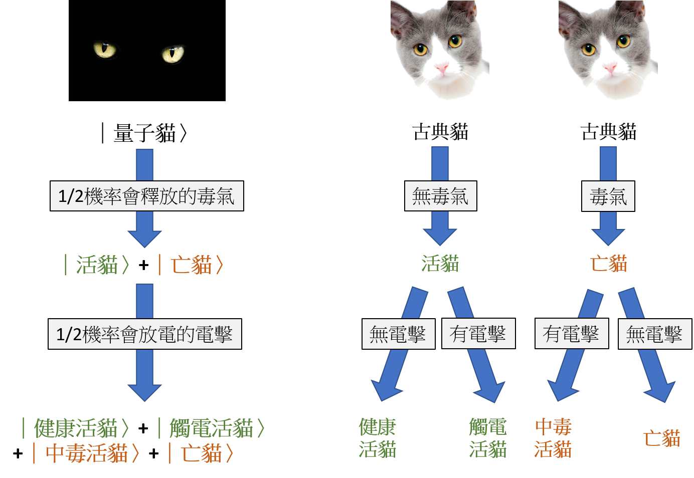 圖一、薛丁格的貓是量子版本的貓。我們用物理學家習慣的符號寫出量子貓的各種狀態。
