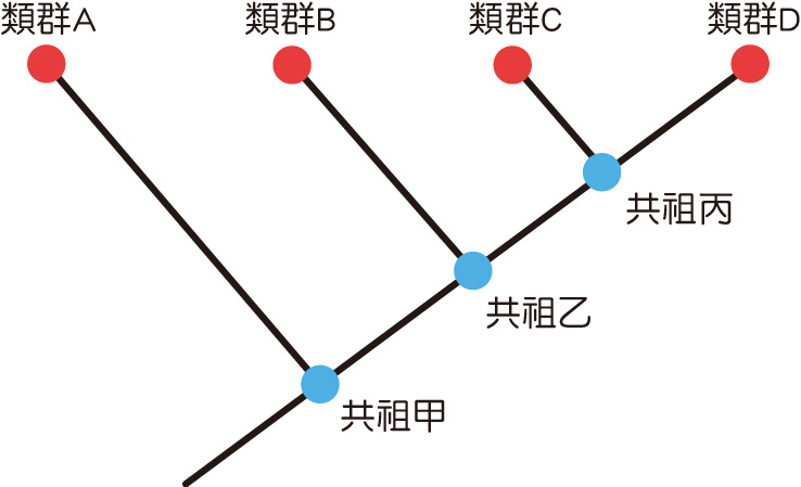 Full text of 演化，生态和行为的原则