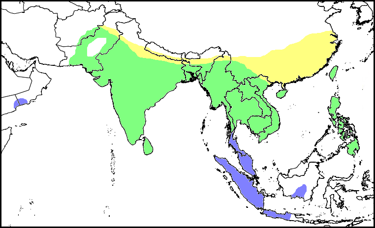 Pheasant-tailed-Jacaba-map