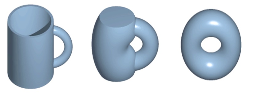 一個杯子經不斷拉扯、變形或收縮變為甜甜圈的樣子。這些被稱為連續變形，因為它們是同胚的。