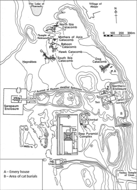 北薩卡拉的地圖（P. T. Nicholsona,et al. Antiquity 89, June 2015, pp 645-661）