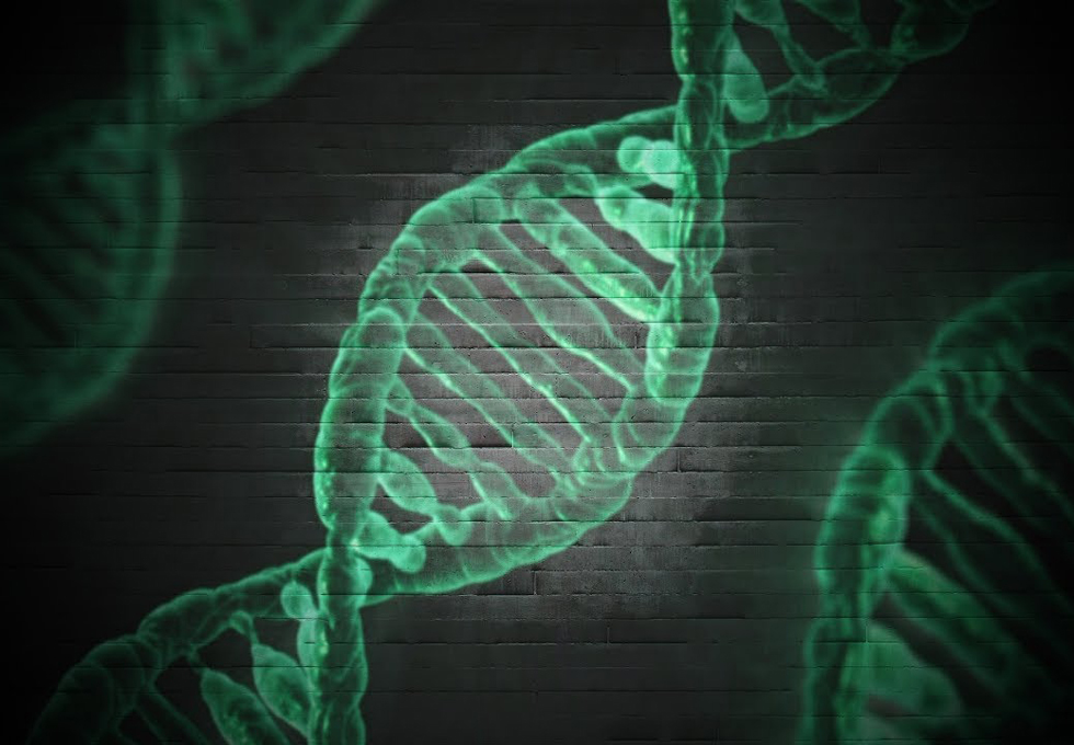 【科學史沙龍】刺蝟與狐狸：DNA雙螺旋結構的發現 - CASE 報科學