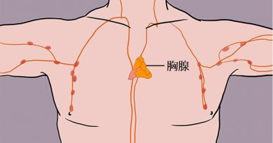 身體的免疫大王--不可忽略的胸腺 身體的免疫大王--不可忽略的胸腺