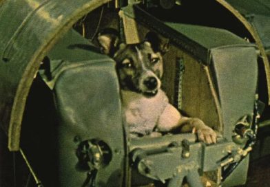太空競賽！（2）：太空犬萊卡
