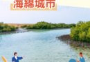 【科學史沙龍】〈SDG11 永續城市與社區：海綿城市〉