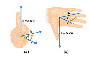向量、單位向量 （Vector, Unit Vector） | 科學Online