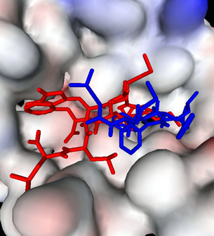 molecule