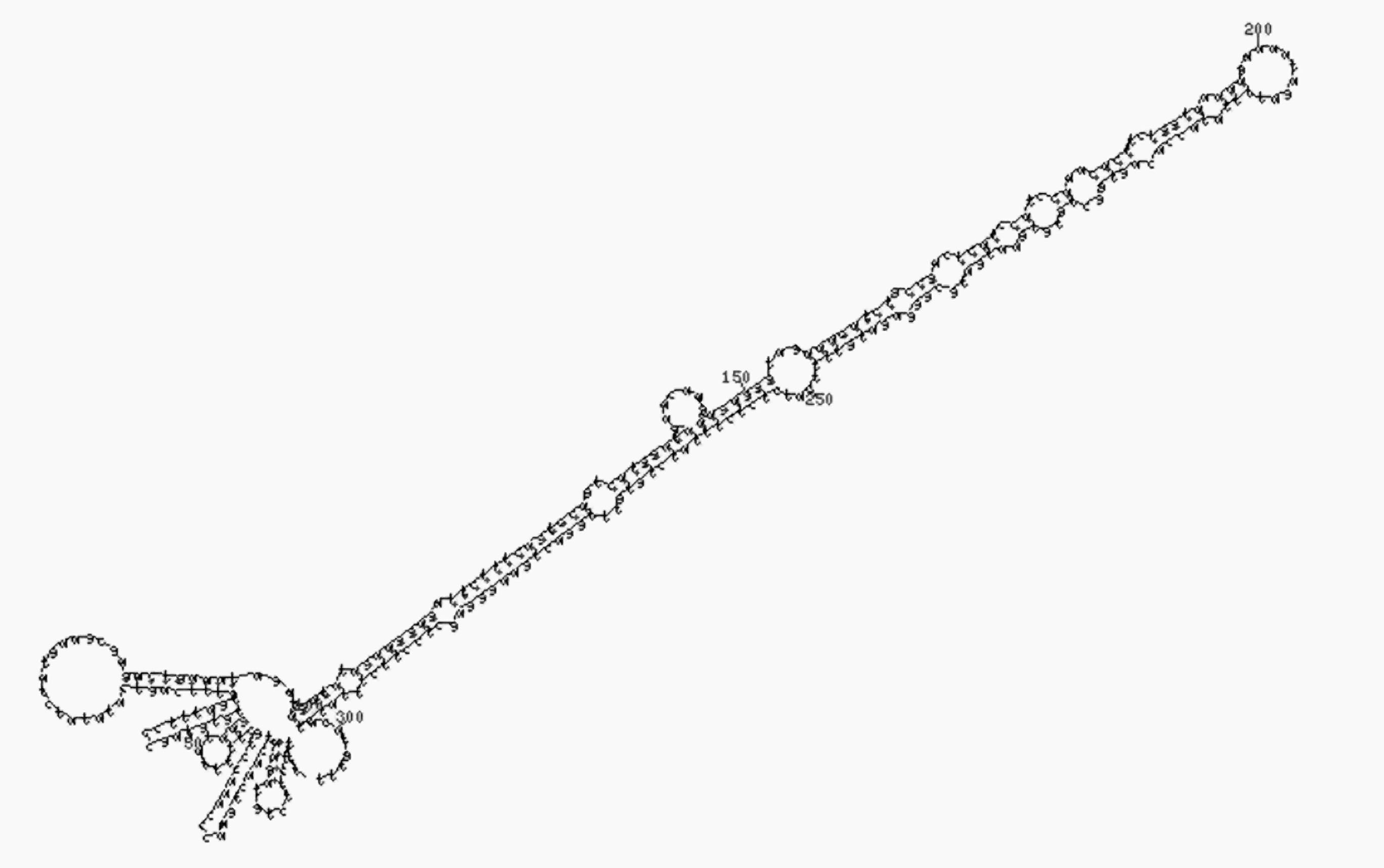 microRNAs
