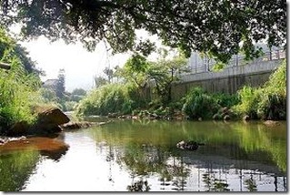 綠色化學所涵蓋之範圍極廣，包括：有機、無機、生物、分析、物理化學…等