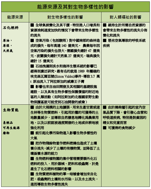 圖片32