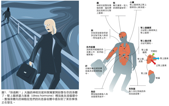 nobel100_clip_image002