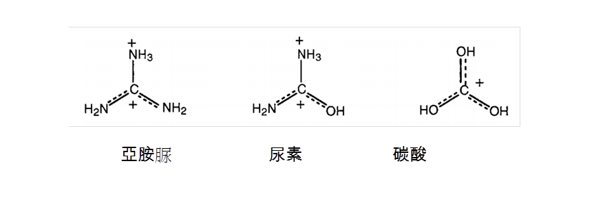 圖四 質子化之亞胺脲、尿素、碳酸