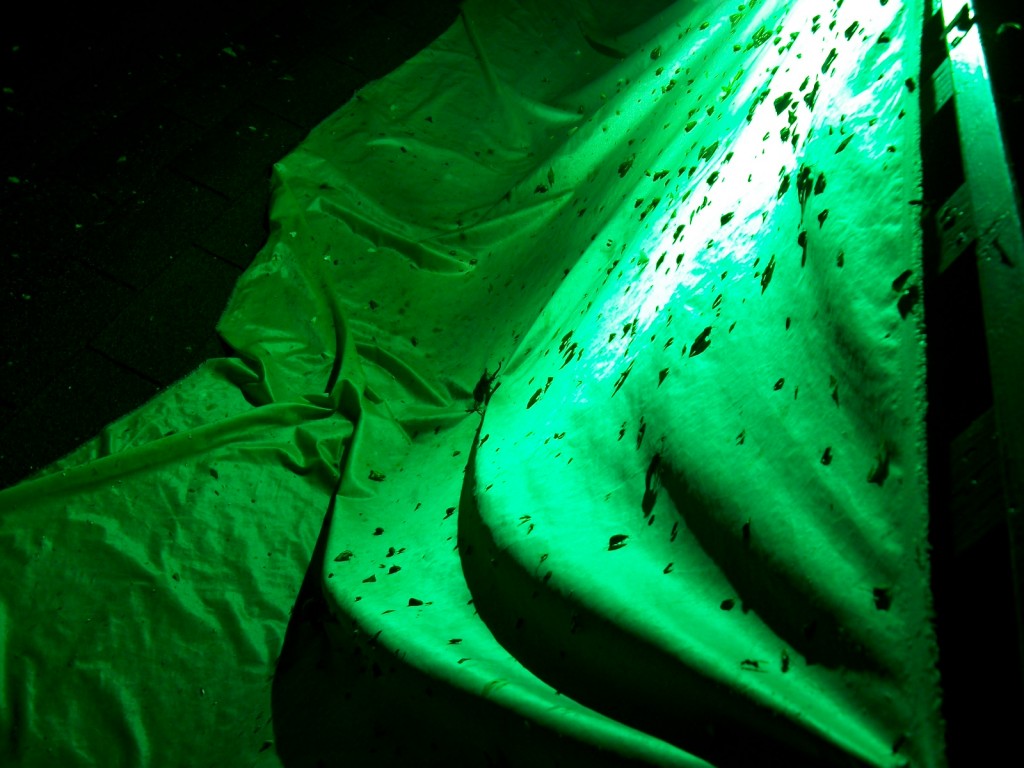 PENTACON Digital Camera