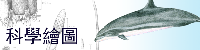 20170310_science_online