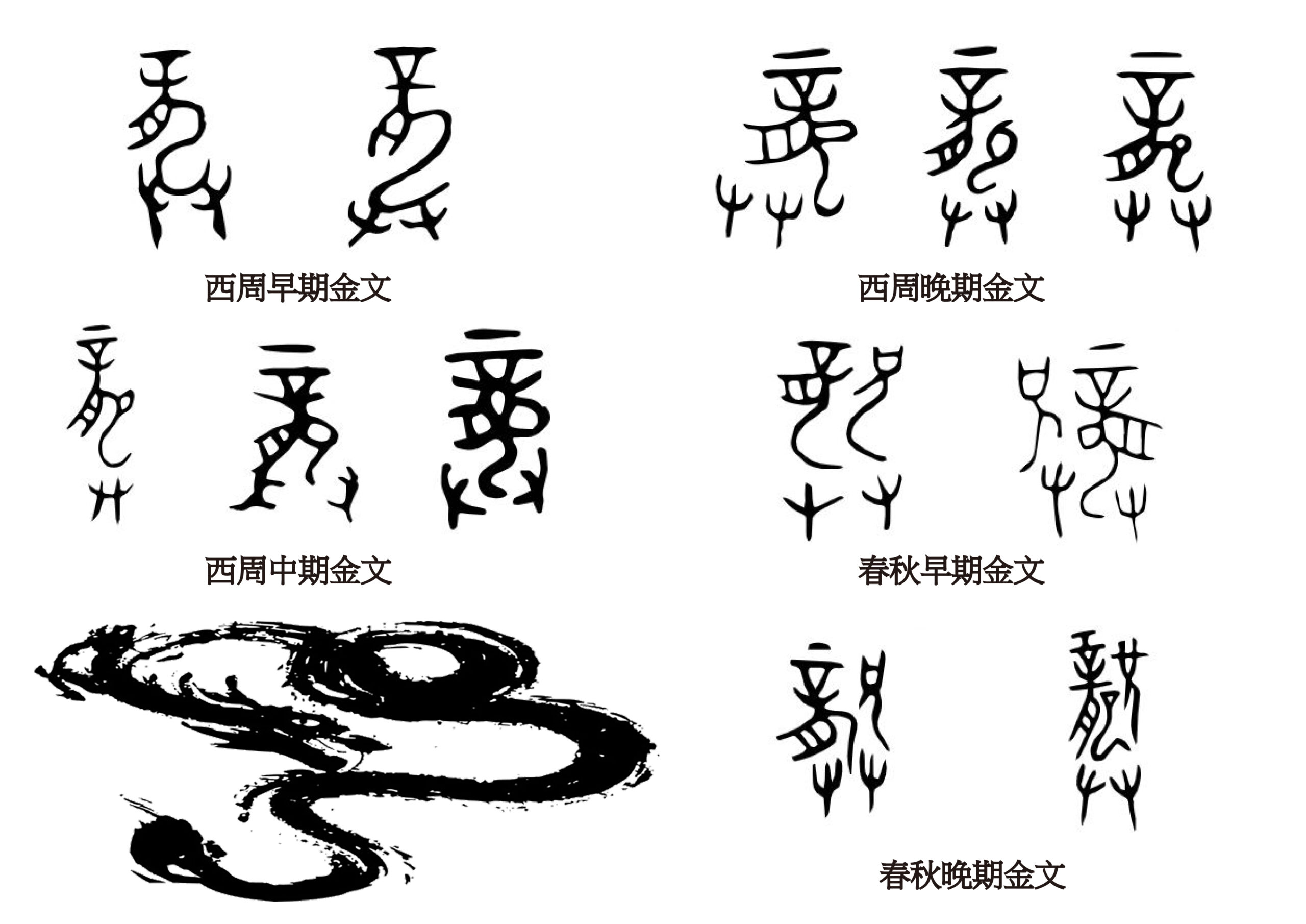甲骨文的「龍」字與龍的起源(上) – CASE臺大科學教育發展中心